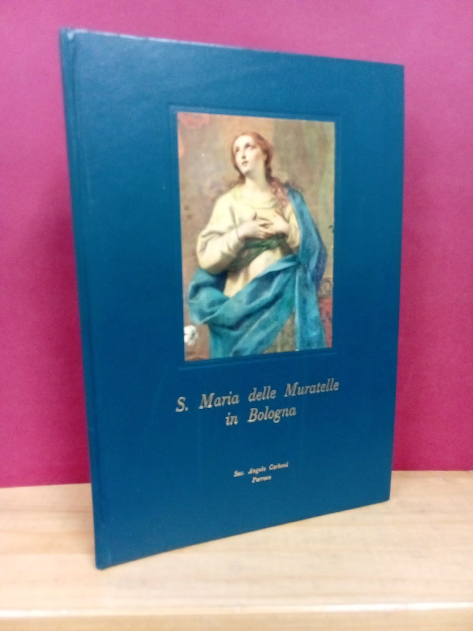 S. Maria delle Muratelle in Bologna. | Immagine principale