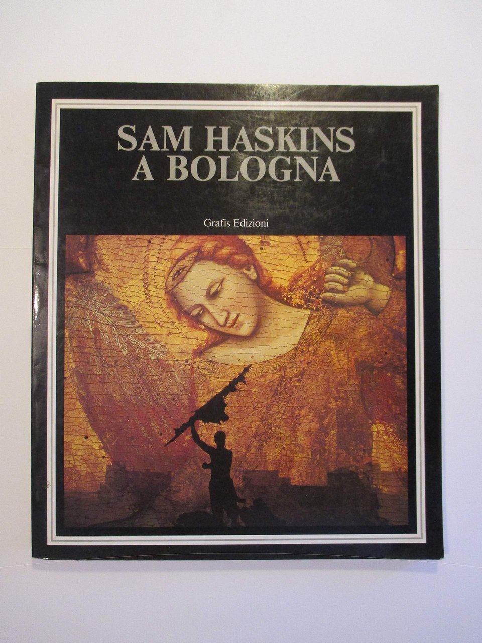 Sam Haskins a Bologna. | Immagine principale