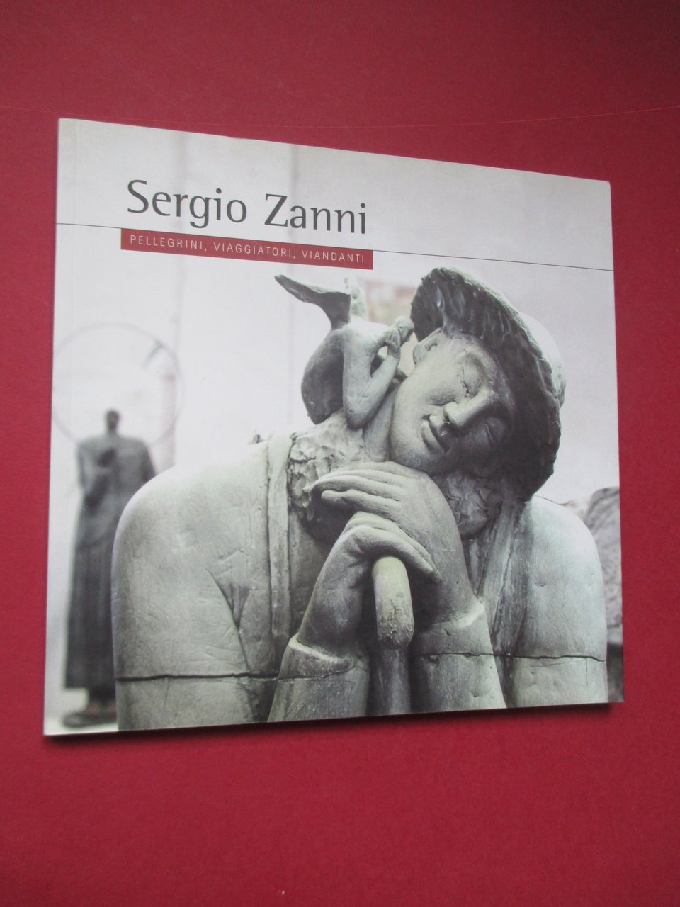 Sergio Zanni. Pellegrini, viaggiatori, viandanti.