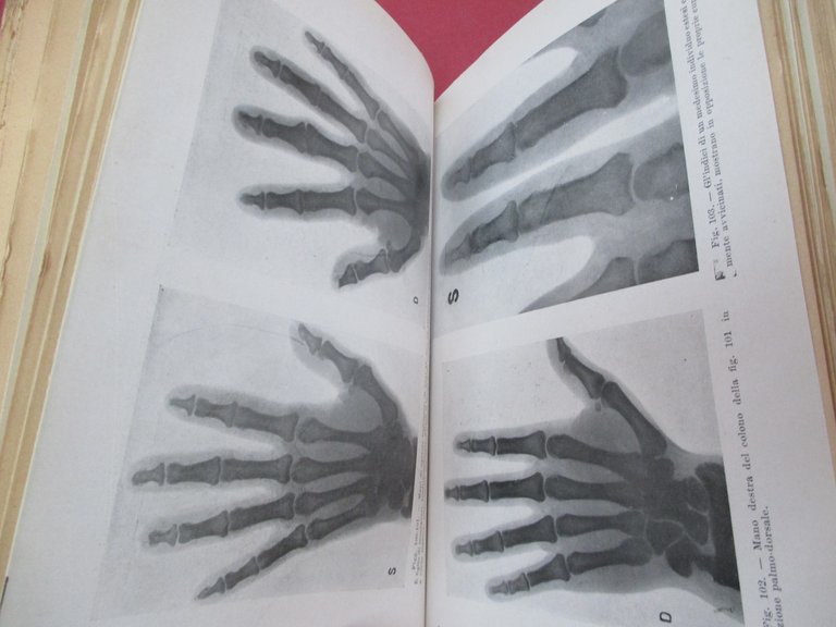 Storia naturale del lavoro. Genealogia degli arnesi ed evoluzione della …