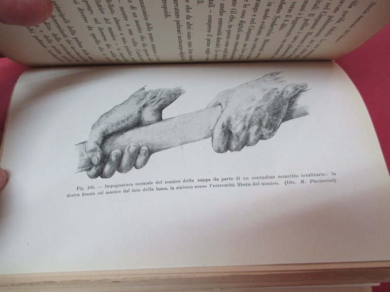 Storia naturale del lavoro. Genealogia degli arnesi ed evoluzione della …