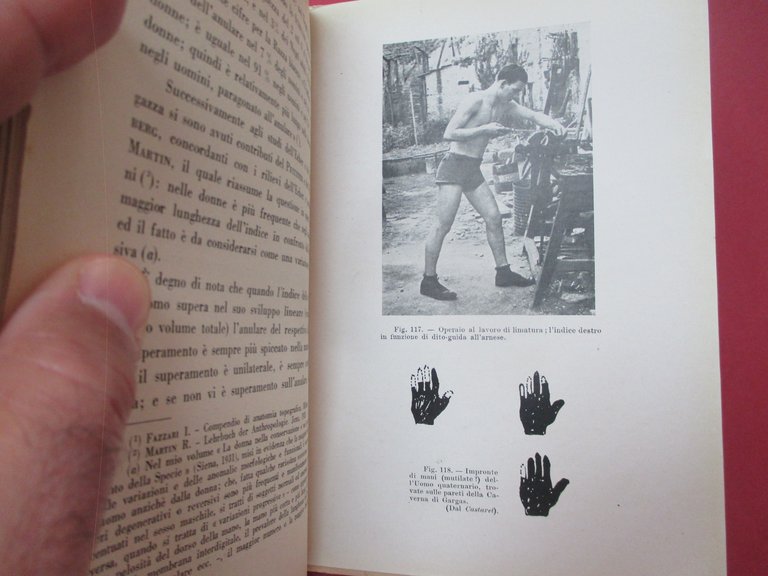 Storia naturale del lavoro. Genealogia degli arnesi ed evoluzione della …