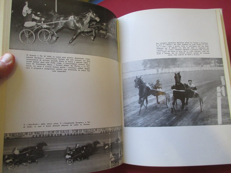 Tornese cavallo leggendario.