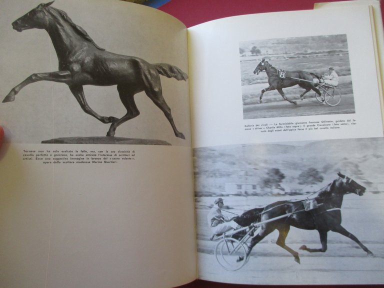 Tornese cavallo leggendario.