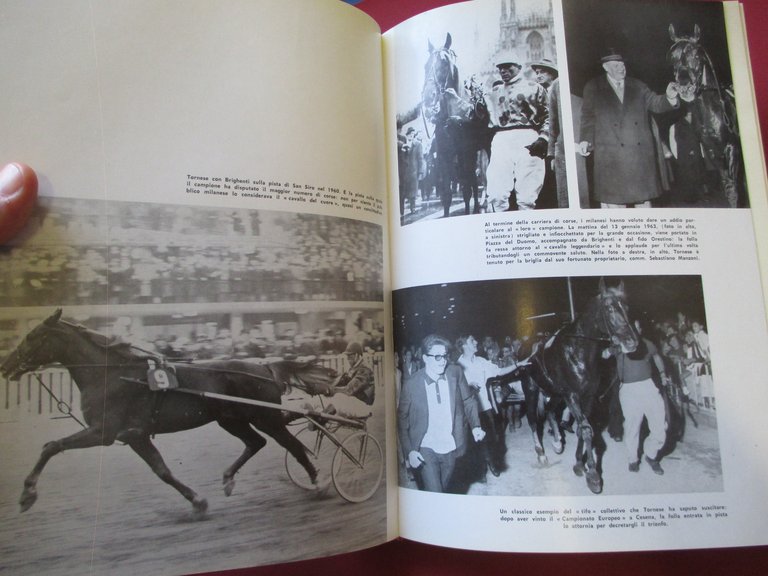 Tornese cavallo leggendario.