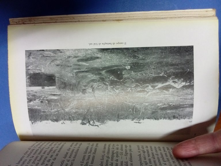 Ual Ual. | Immagine Gallery 5