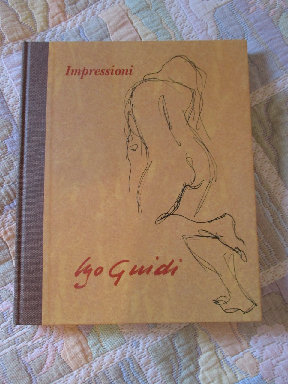 Ugo Guidi. Impressioni.