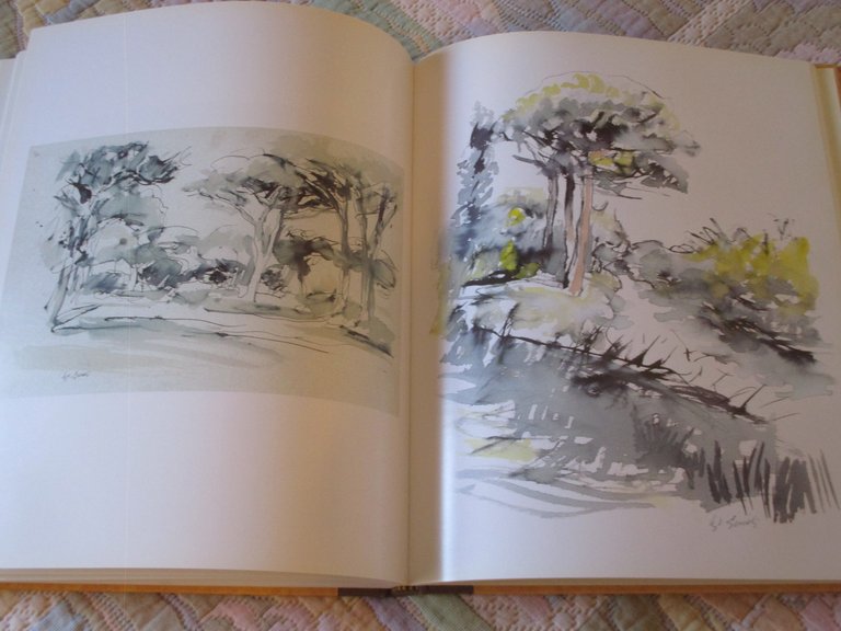 Ugo Guidi. Impressioni.