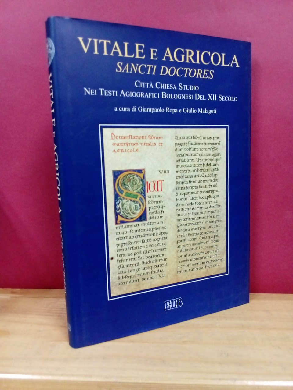 Vitale e Agricola Sancti Doctores. Città, Chiesa, Studio nei testi … | Immagine principale