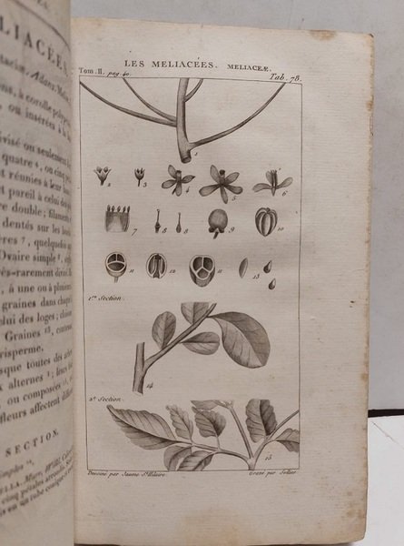 Exposition des Familles Naturelles et de la Germination des Plantes