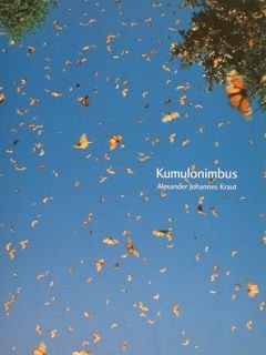 KUMULONIMBUS. AlexanderJohannes Kraut. Galerie Marianne Grob, Berlin 12.2.1999 - 3.4.1999.