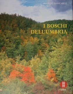 I BOSCHI DELL'UMBRIA.