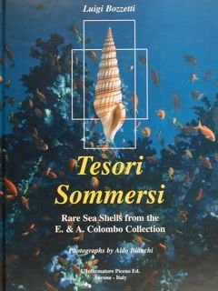 TESORI SOMMERSI. Rare Sea Shells from the E. & A. …