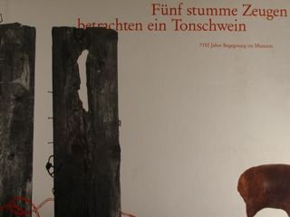 FUNF STUMME ZEUGEN BETRACHTEN EIN TONSCHWEIN. 7192 Jahre Begegnung im …