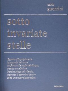 Sotto invariate stelle.