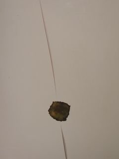 Erwin Wortelkamp. Arbeiten auf Papier 1986 - 1996. Bergisch Gladbach, …