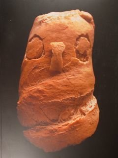 Marco Balzarro, il domatore di trucioli. The cardshaving tamer. Io …