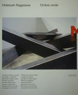 Hidetoshi Nagasawa. Ombra verde. Roma, Macro. 23. 04.2013 / 15.9.2013