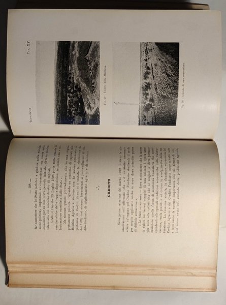 La valorizzazione agraria delle colonie italiane.