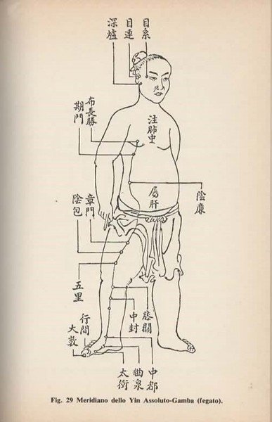 L'agopuntura.