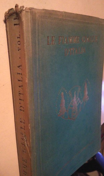 Le Fiamme Gialle d'Italia. Nei fasti di guerra e del …
