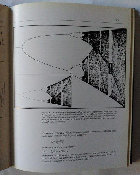 La bellezza dei frattali. Immagini di sistemi dinamici complessi