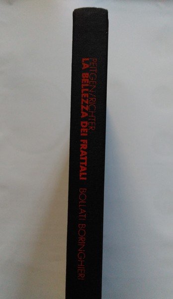 La bellezza dei frattali. Immagini di sistemi dinamici complessi