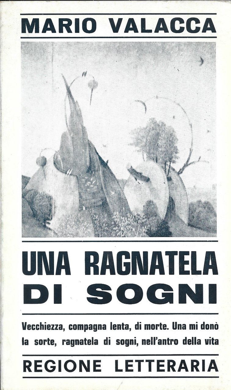 Una ragnatela di sogni.