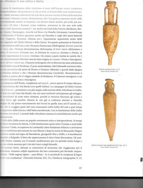 La grande storia del vino.