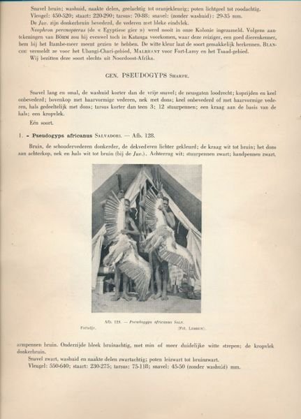 De Vogels van Belgisch Congo en van Ruandi - Urundi. …
