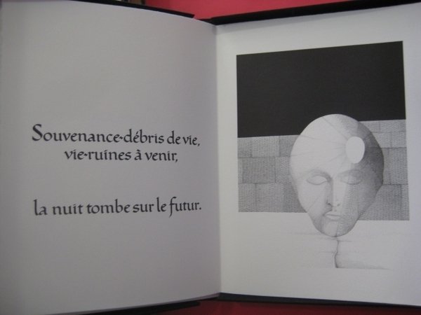 Essai graphique de Schizanthropie