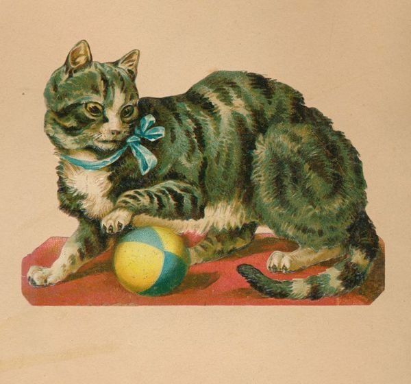 Album de collections : chromolithographies et images