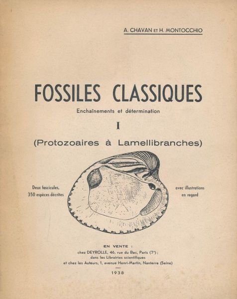 Fossiles classiques. Enchainements et determination