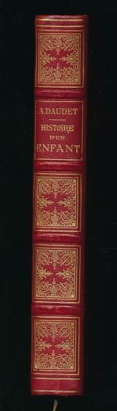 Histoire d'un enfant. Le Petit Chose