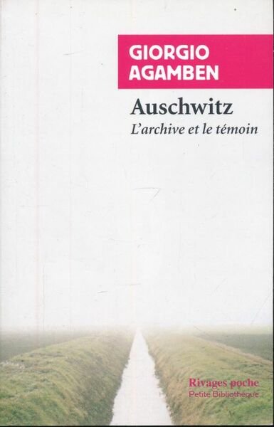 Auschwitz, l'archive et le témoin
