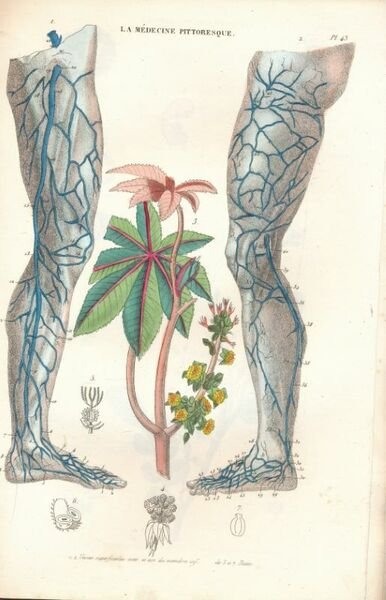 La médecine pittoresque. Recueil de 91 planches couleurs