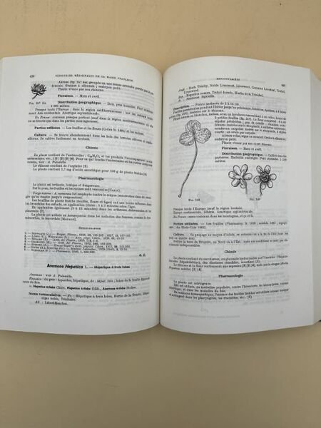 Ressources médicinales de la flore française