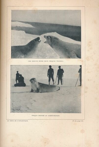 Au coeur de l'Antarctique. Expédition du "Nimrod" au Pôle Sud