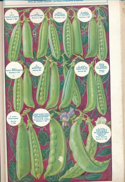 Guide illustré de Semis. Le paysan 1933