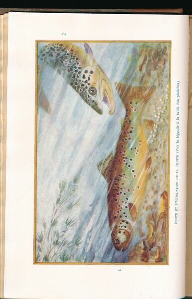 Les poissons et le monde vivant de eaux. Etudes ichthyologiques. …