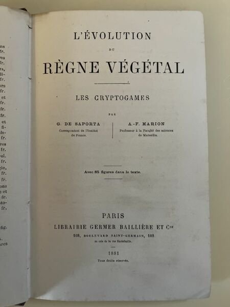 L'évolution du règne végétal. Les cryptogames