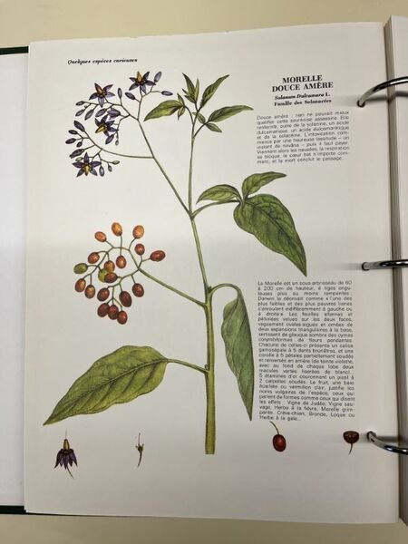 L'herbier du Languedoc et du Roussillon. Présenté par Jean Pierre …