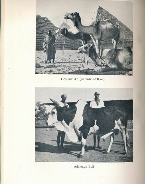 The Nigeria Handbook