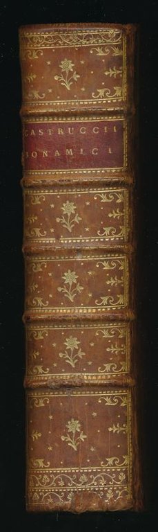 Commentariorum de Bello Italico