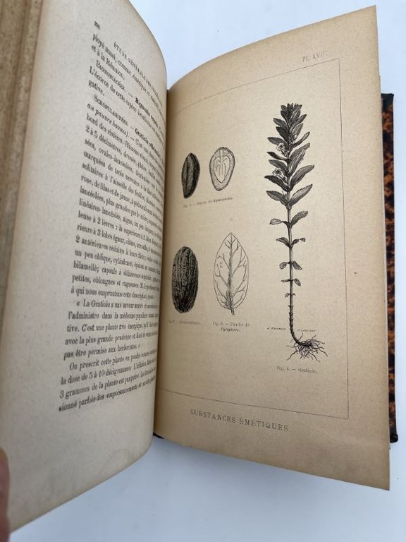 Etude des Ipécacuanhas de leurs falsifications et des substances végétales …