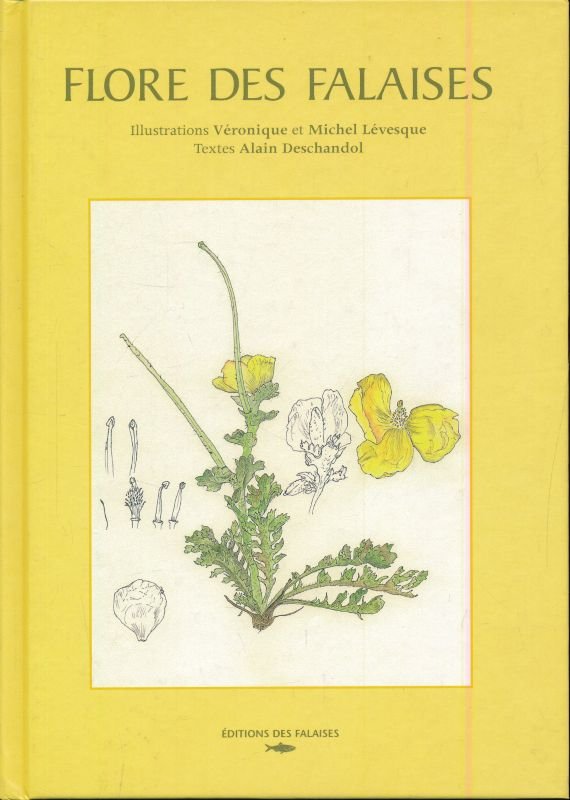 Flore des falaises | Immagine principale