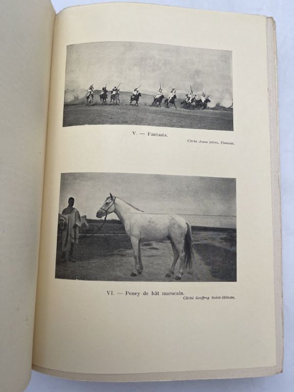 La parure des cavaliers et l'insigne des preux | Immagine Gallery 3