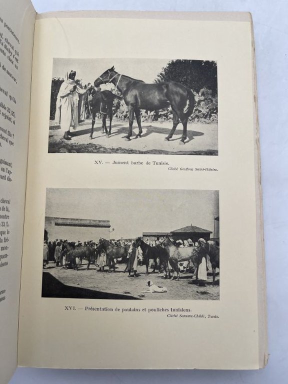 La parure des cavaliers et l'insigne des preux | Immagine Gallery 5