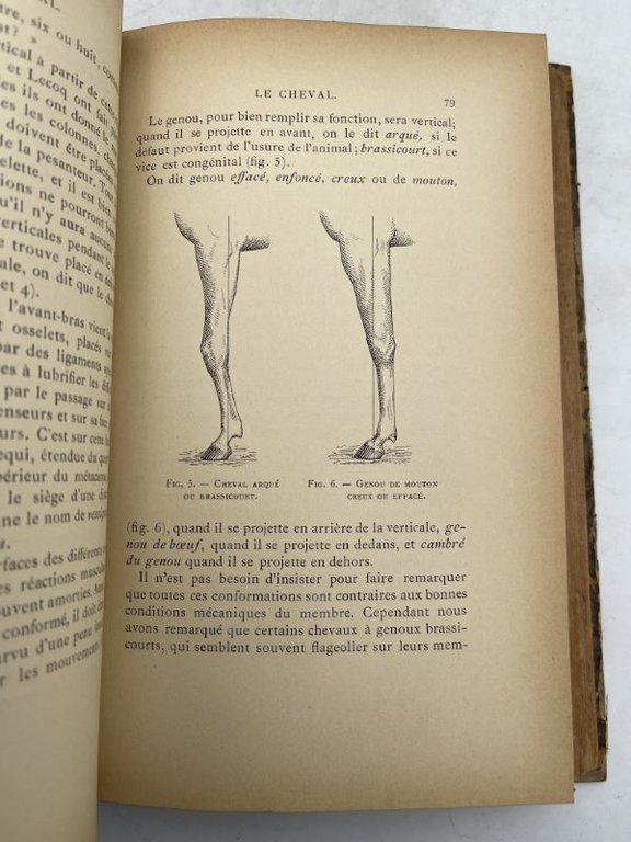 Le cheval dans ses rapports avec l'économie rurale et les …