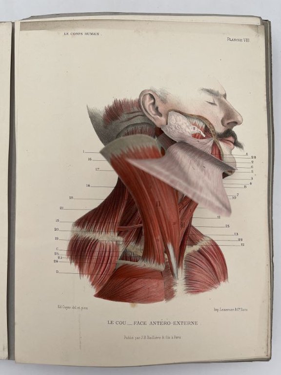 Le Corps humain, structure et fonctions